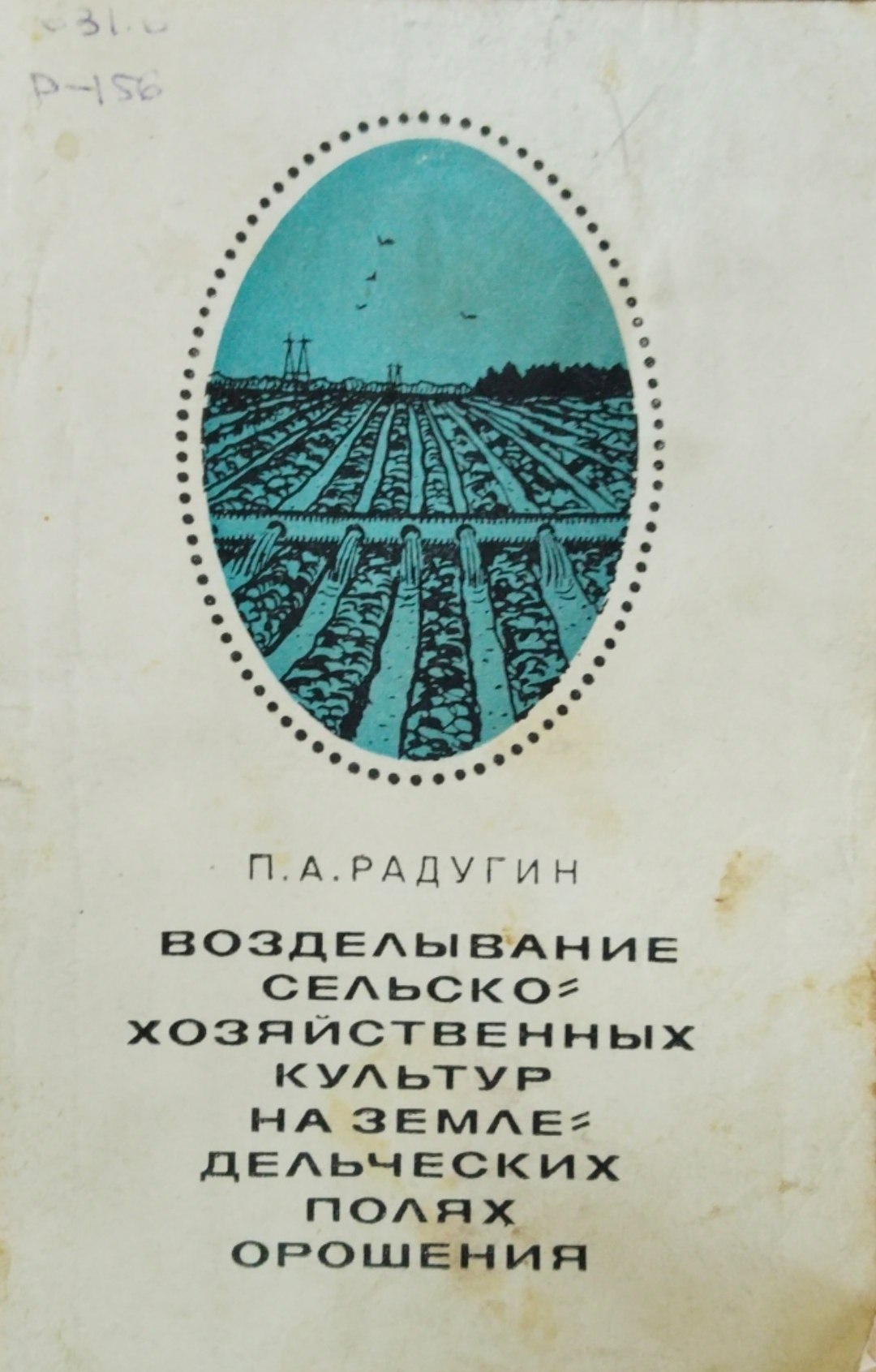 Возделывание сельскохозяйственных культур на земледельческих полях орошения