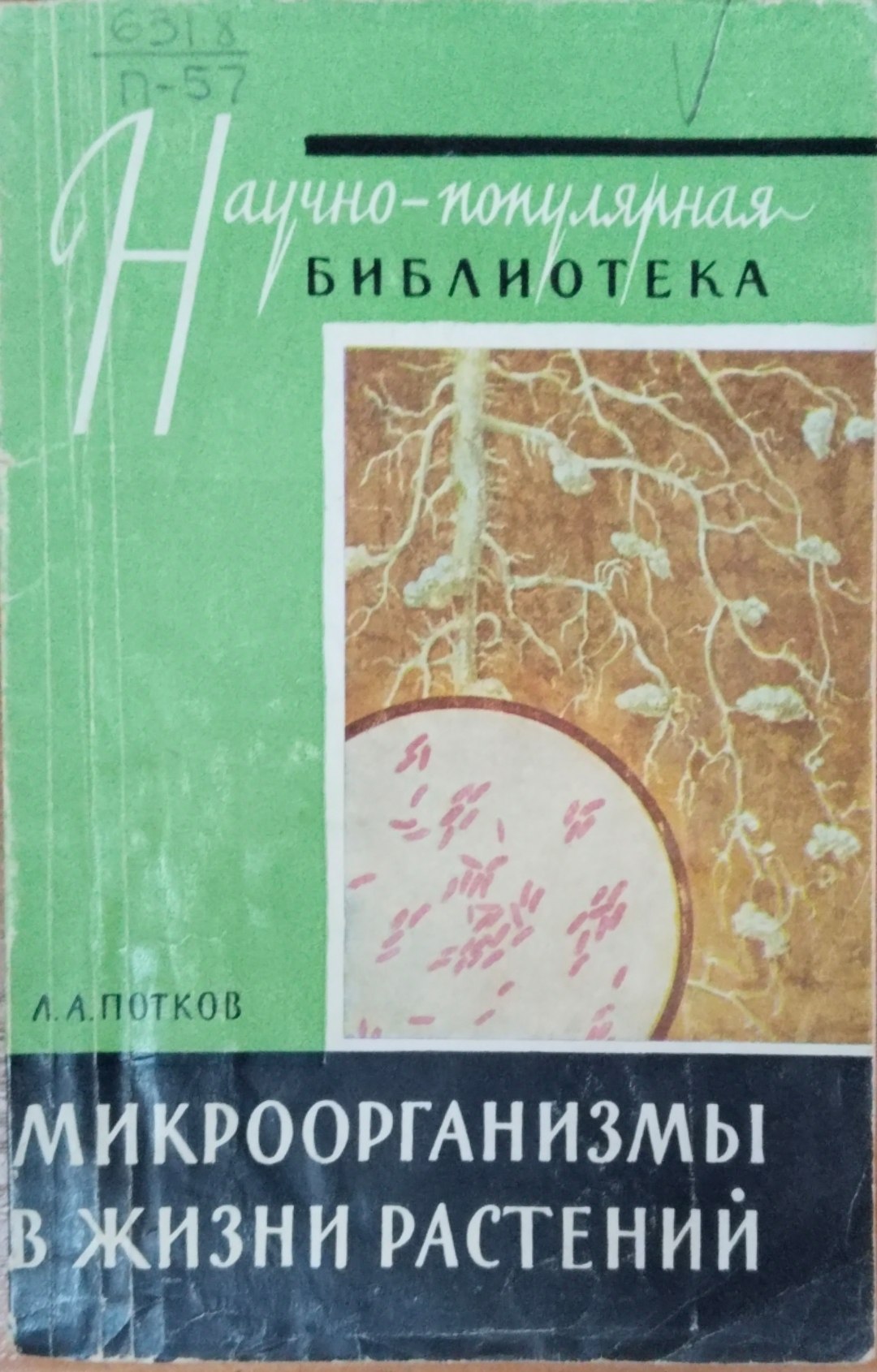 Микроорганизмы в жизни растений