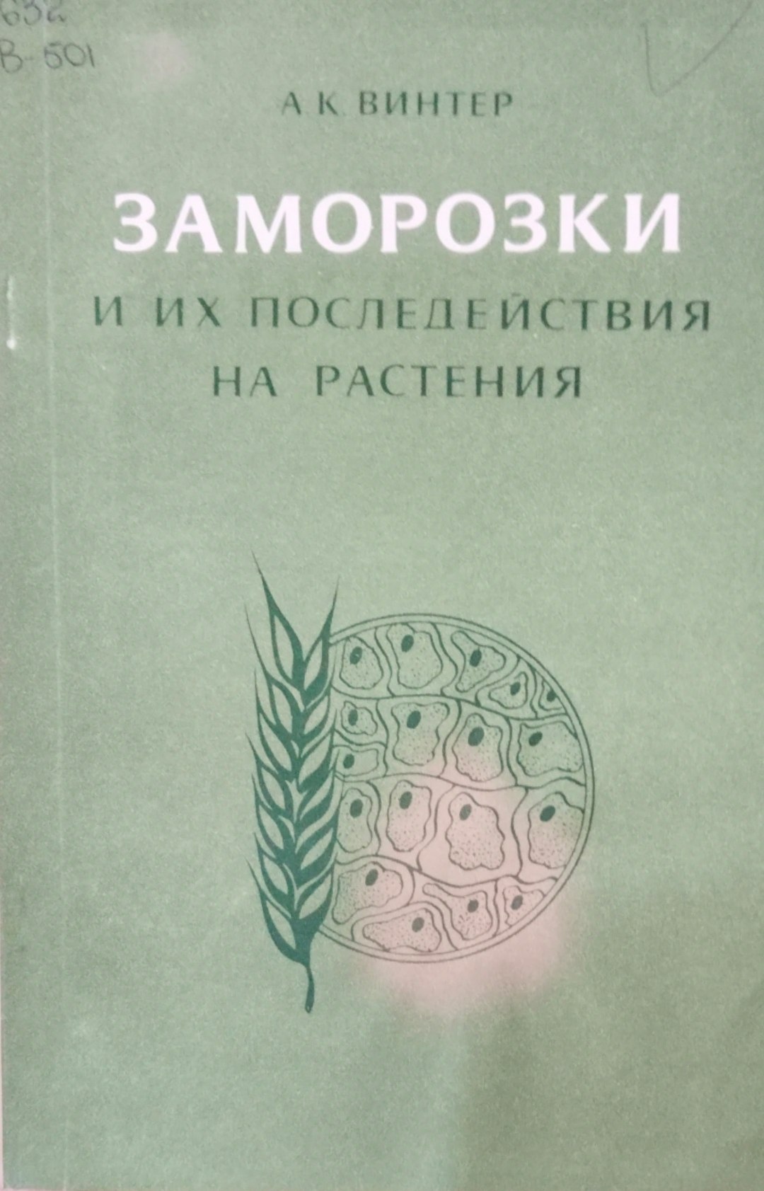Заморозки и их последействия на растения