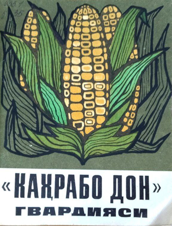 "Қаҳрабо дон" гвардияси