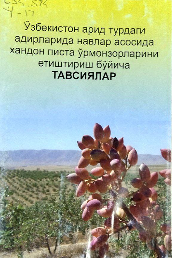 Ўзбекистон арид турдаги адирларида навлар асосида хандон писта ўрмонзорларини етиштириш бўйича тавсиялар