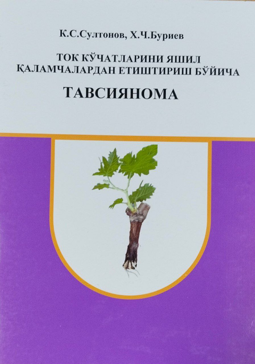 Ток кўчатларини яшил қаламчалардан етиштириш бўйича