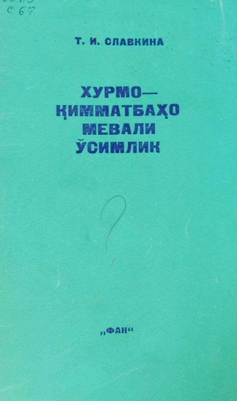 Хурмо-қимматбаҳо мевали ўсимлик