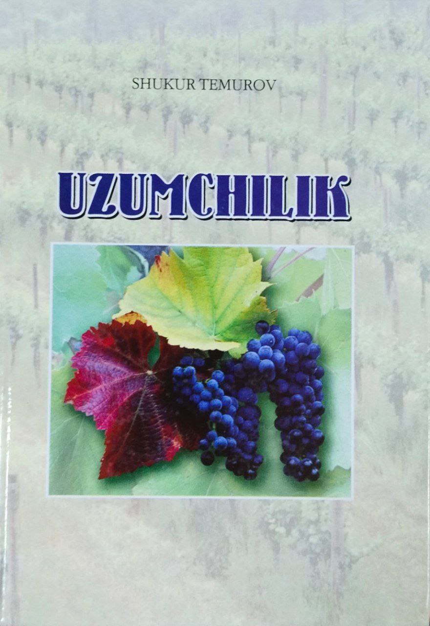 Uzumchilik