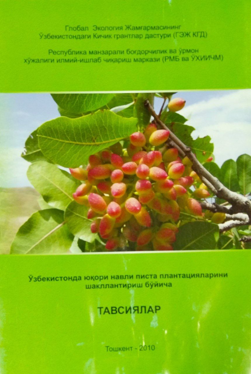 Ўзбекистонда юқори навли писта плантацияларини шакллантириш бўйича тавсиялар