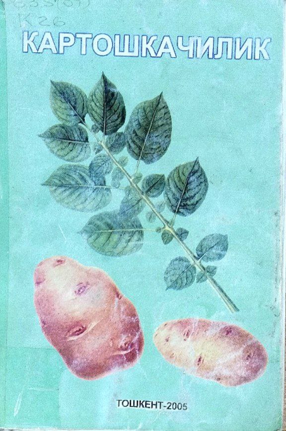 Картошкачилик