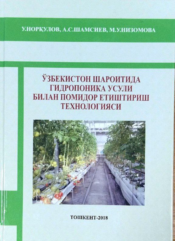 Ўзбекистон шароитида гидропоника усули билан помидор етиштириш технологияси