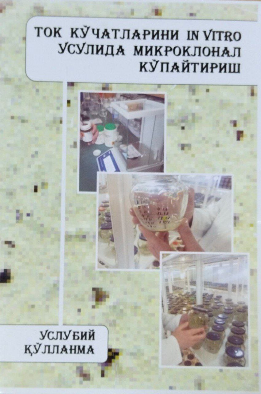 Ток кўчатларини In vitro усулида микроклонал кўпайтириш бўйича