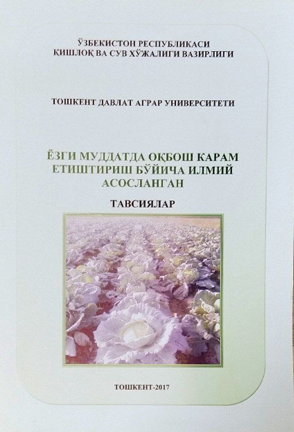 Ёзги муддатда оқбош карам етиштириш бўйича илмий асосланган тавсиялар