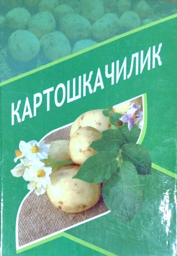 Картошкачилик