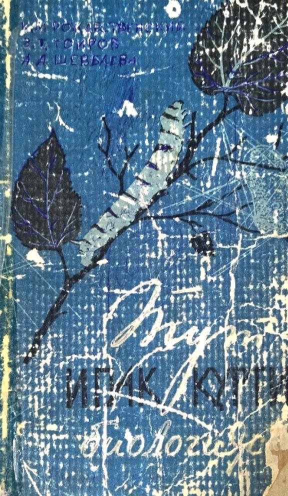 Тут ипак қурти биологияси