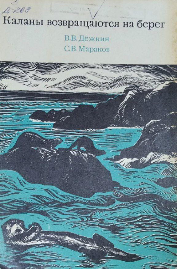 Каланы возвращаются на берег