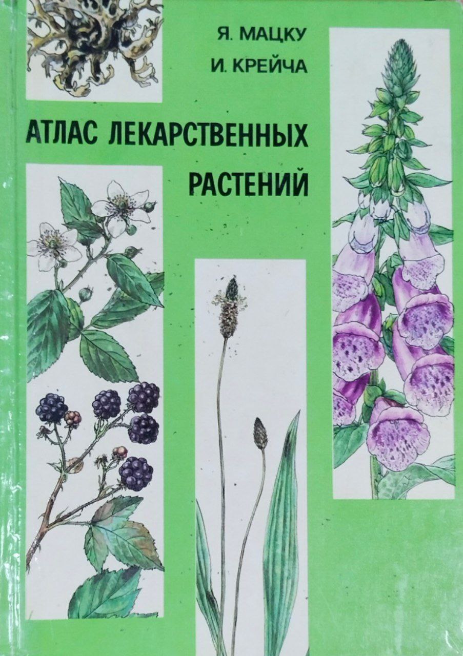 Атлас лекарственных растений