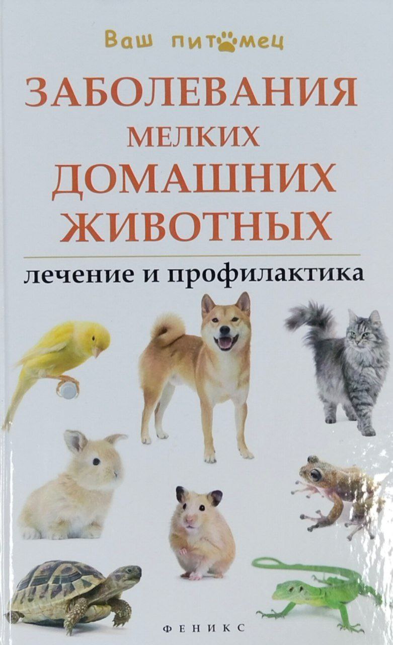 Заболевания мелких домашних животных: лечение и профилактика