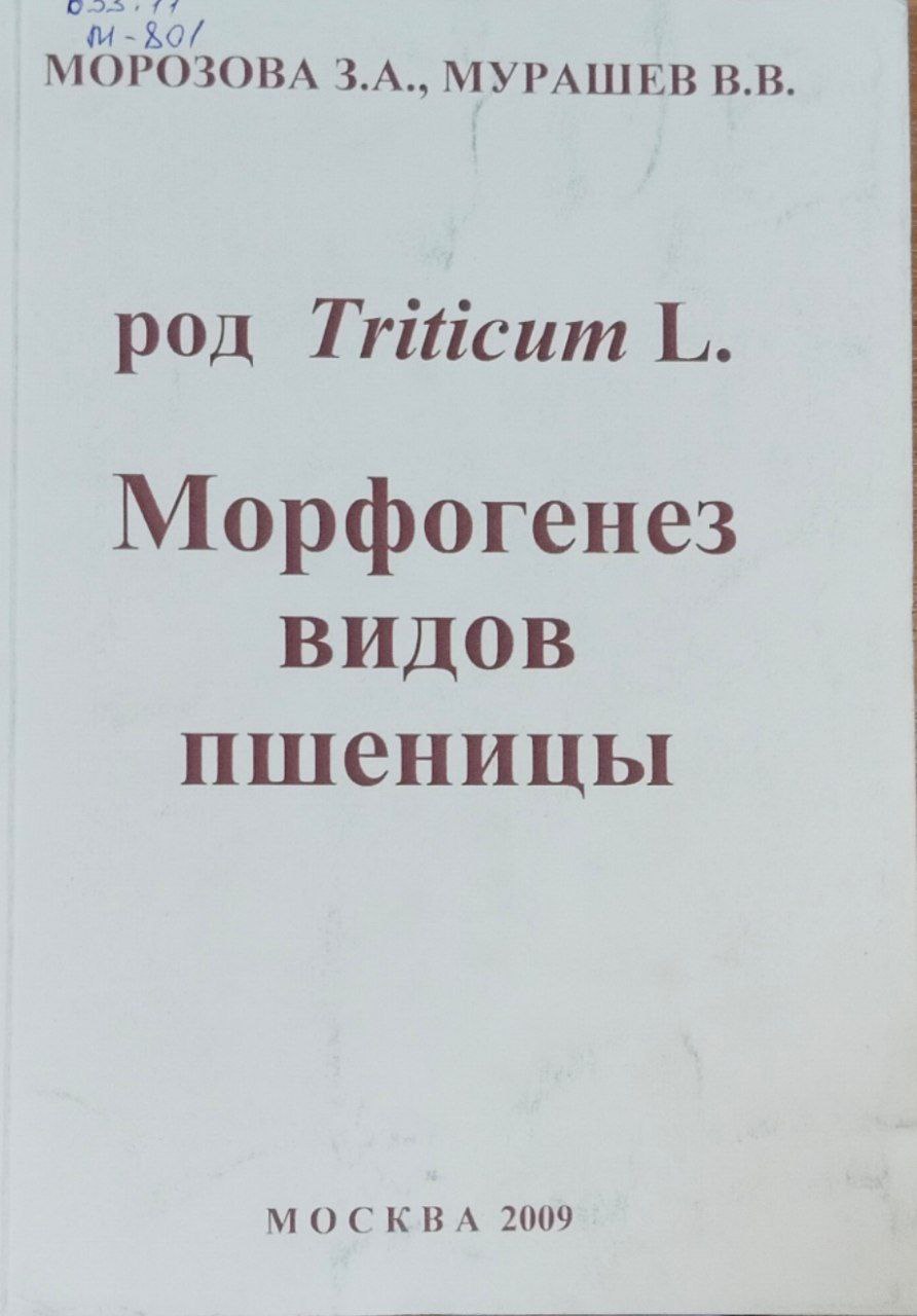 Род Triticum L, Морфогенез видов пщеницы