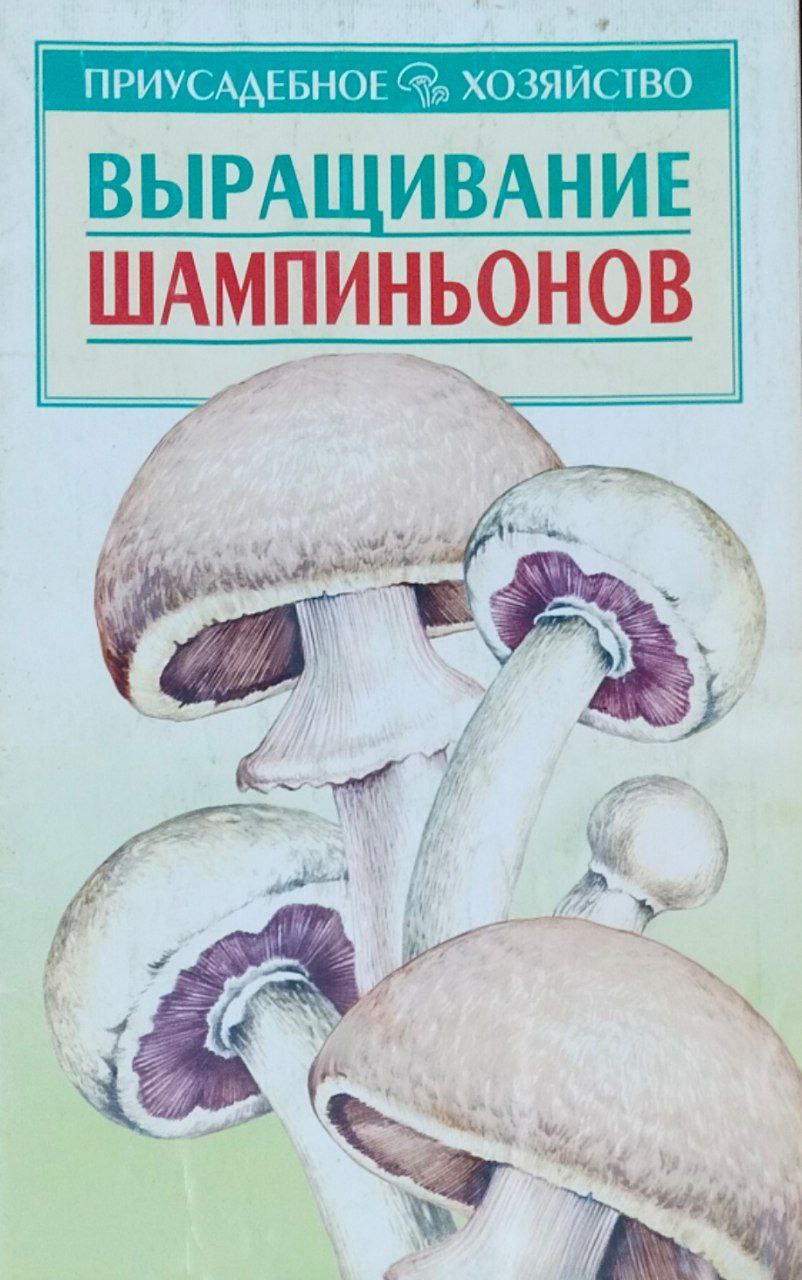 Выращивание шампиньонов