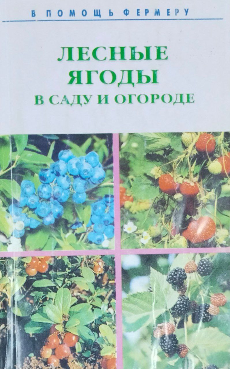 Лесные ягоды в саду и огороде