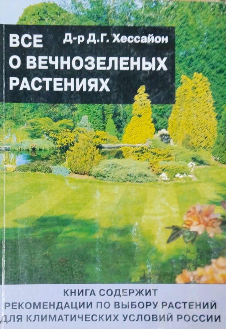 Все о вечнозеленых растениях