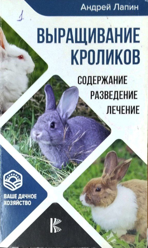 Выращивание кроликов: содержание, разведение, лечение