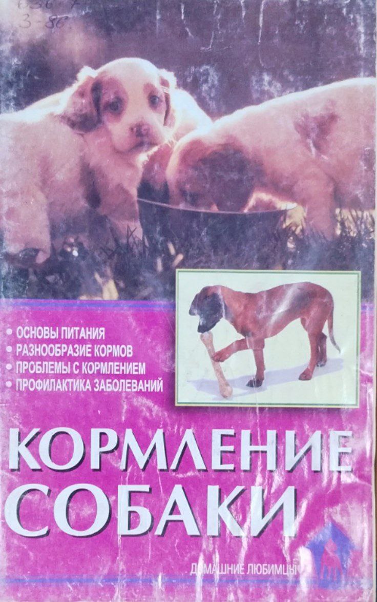 Кормление собаки