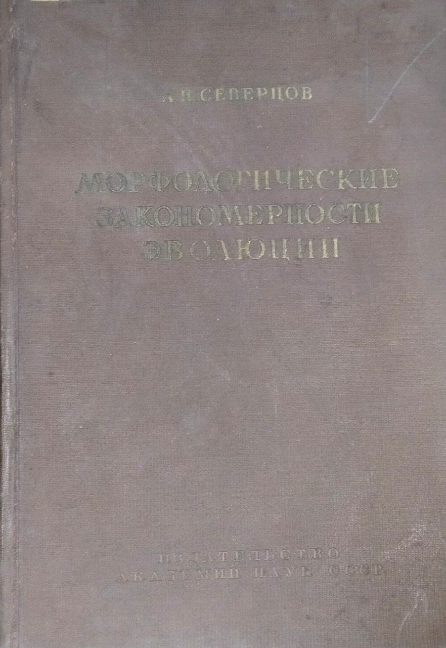 Морфологические закономерности эволюции