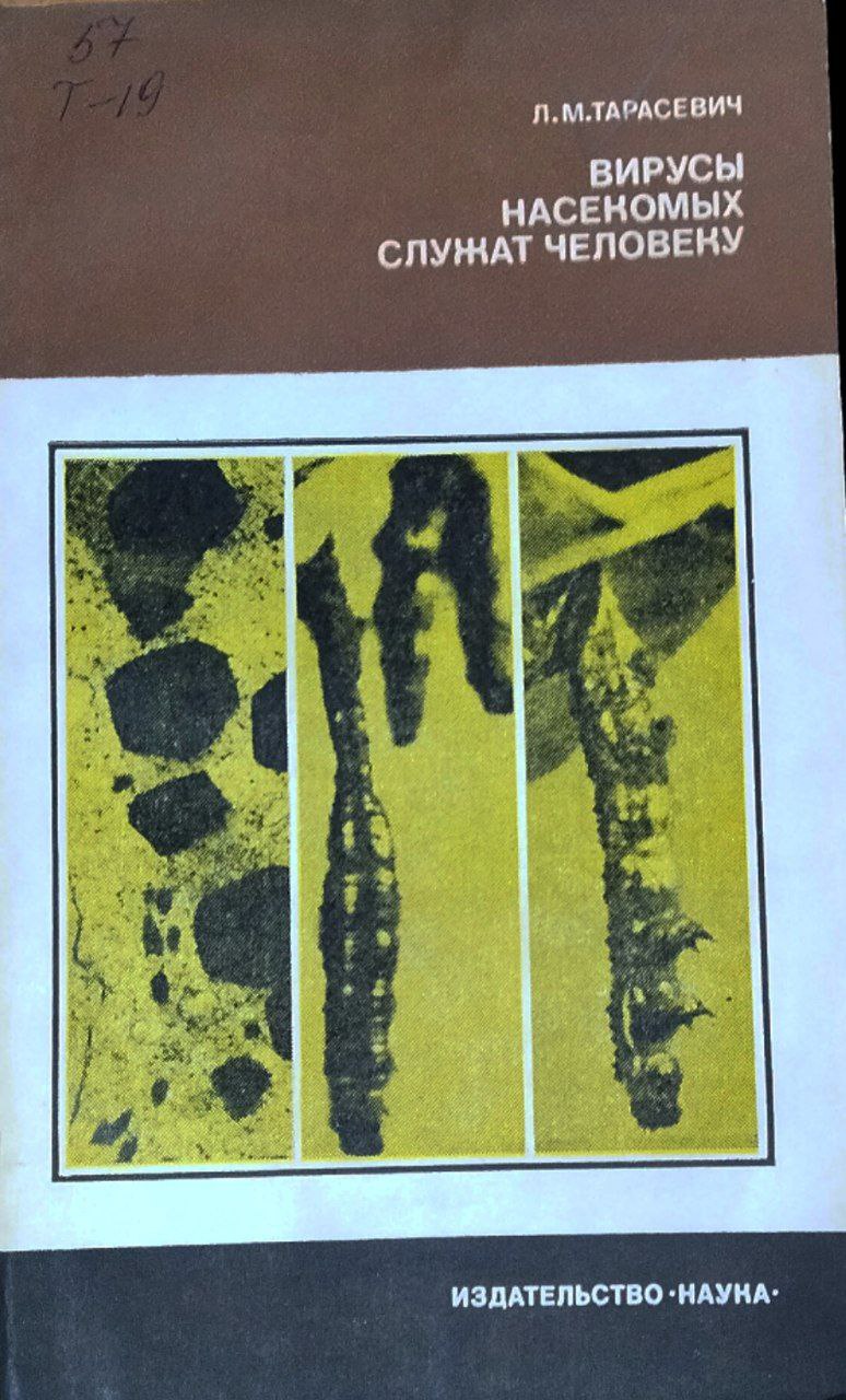 Вирусы насекомых служат человеку