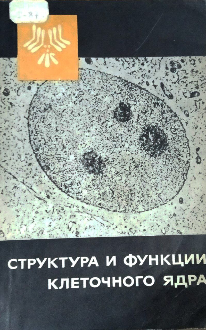 Структура и функции клеточного ядра
