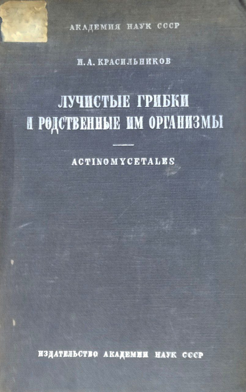 Лучистые грибки и родственные им организмы
