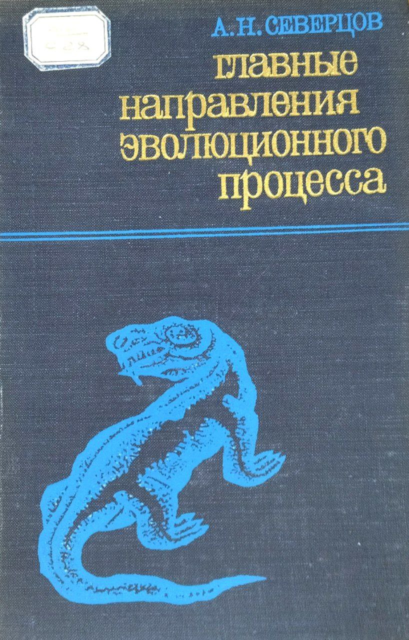 Главные направления эволюционного процесса