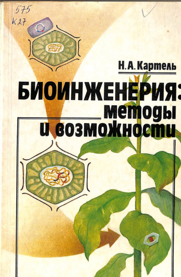 Биоинженерия: методы и возможности