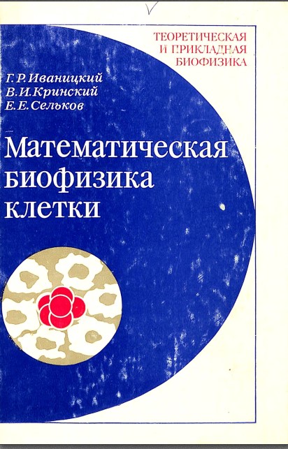 Математическая биофизика клетки