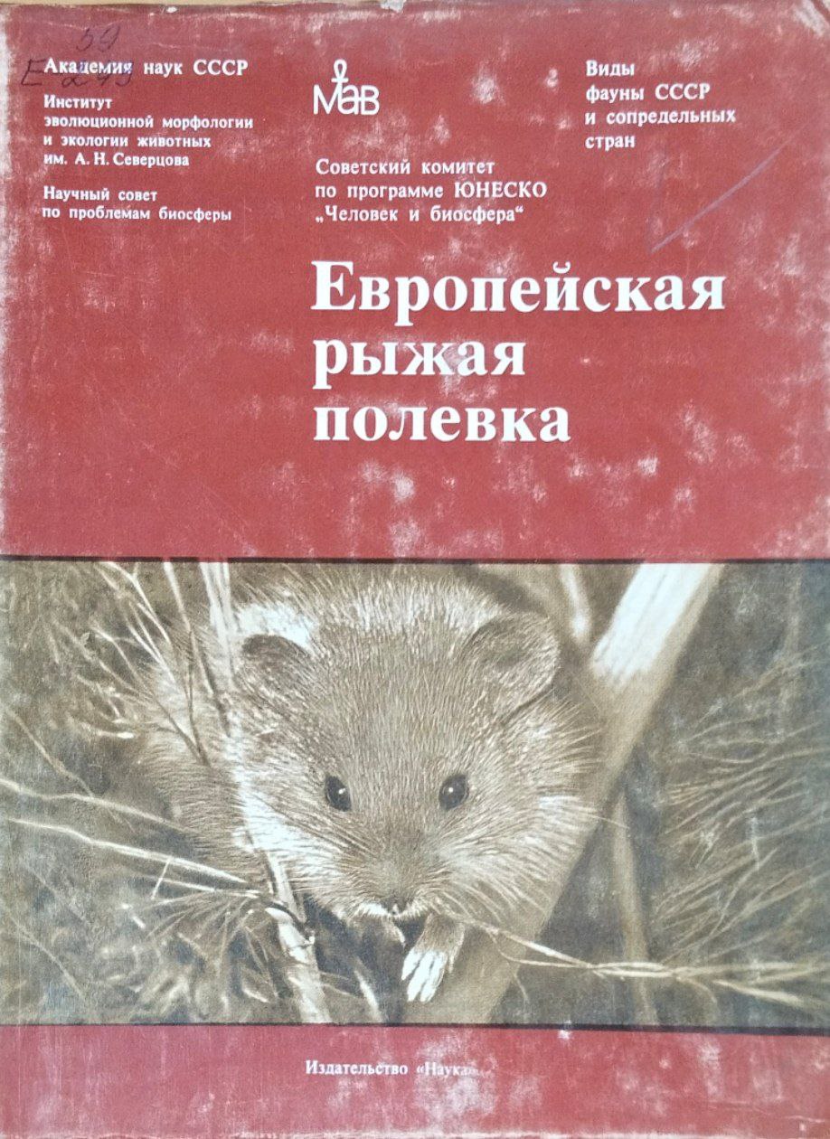 Европейская рыжая полевка