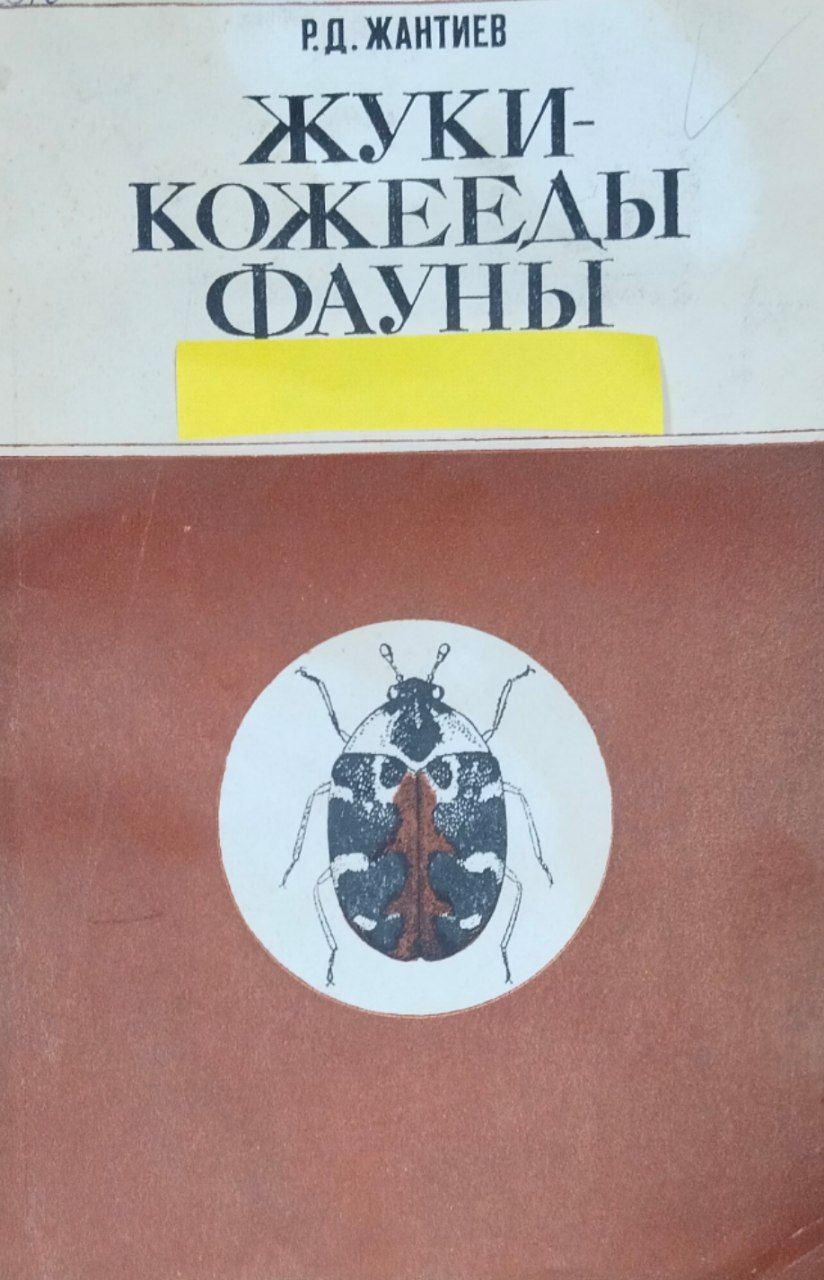 Жуки-кожееды (семейство dermestidae) фауны