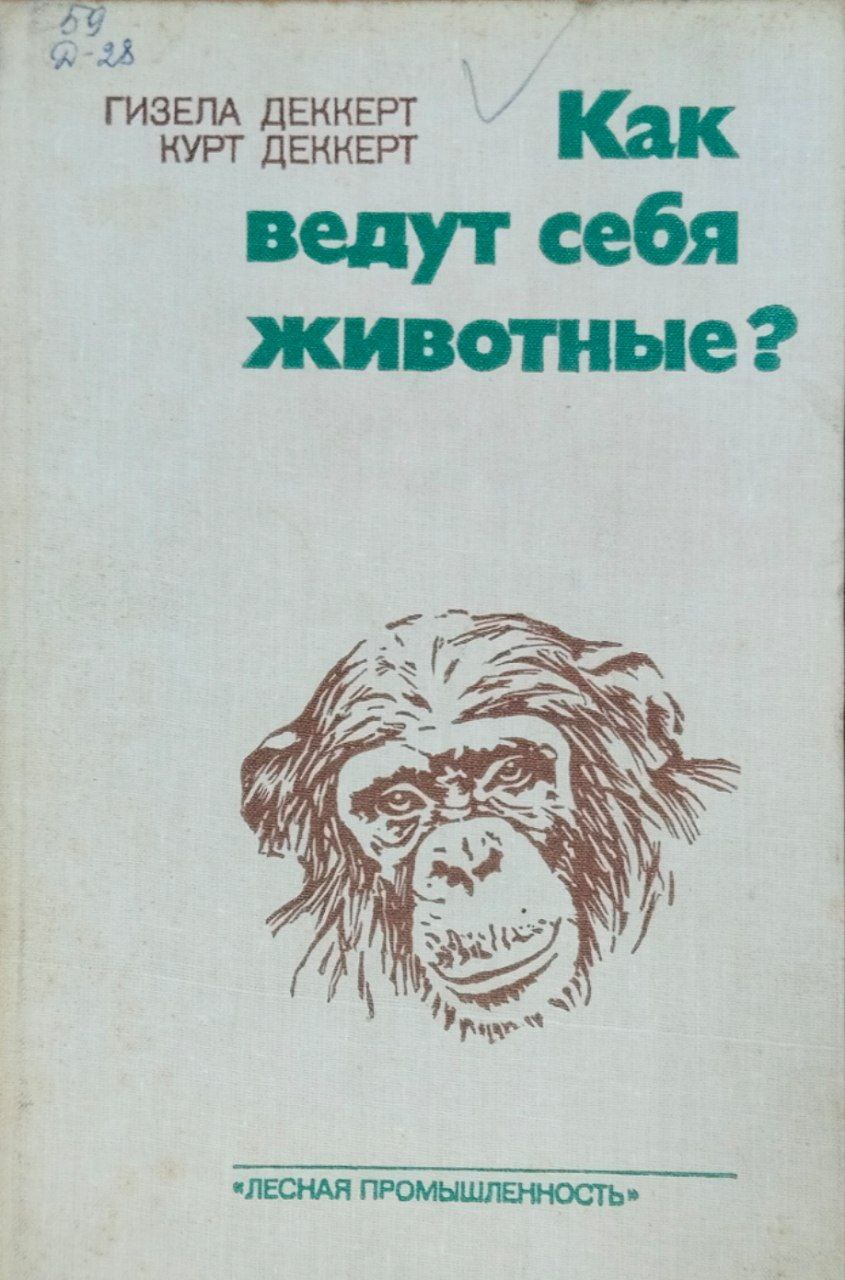 Как ведут себя животные?