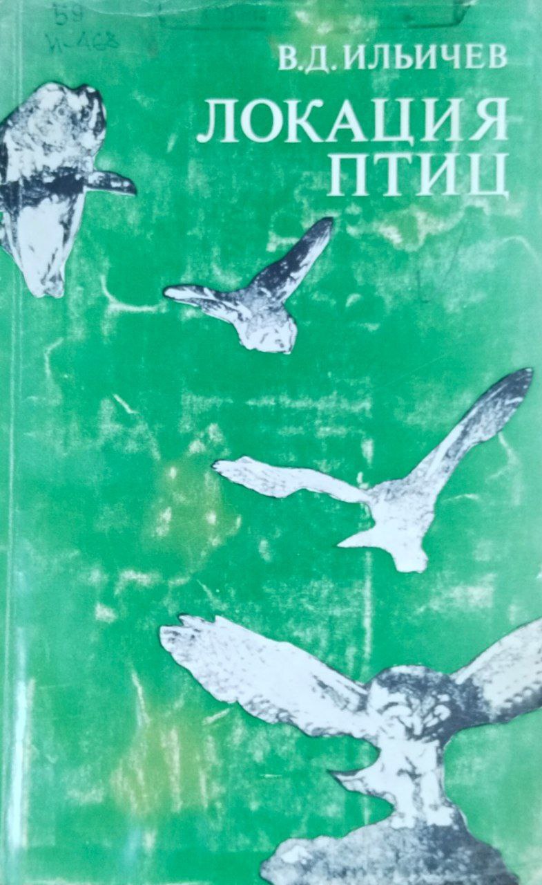 Локация птиц