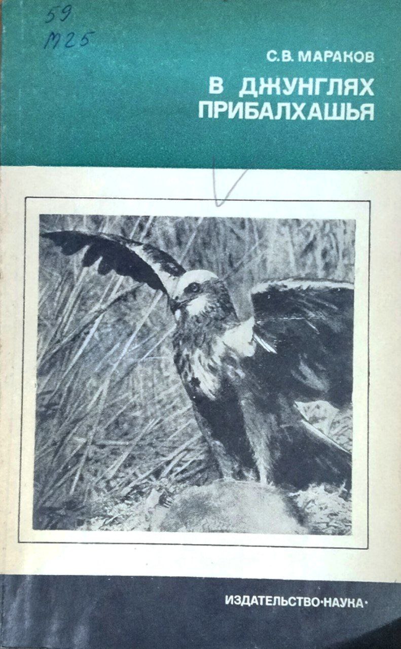В джунглях Прибалхашья