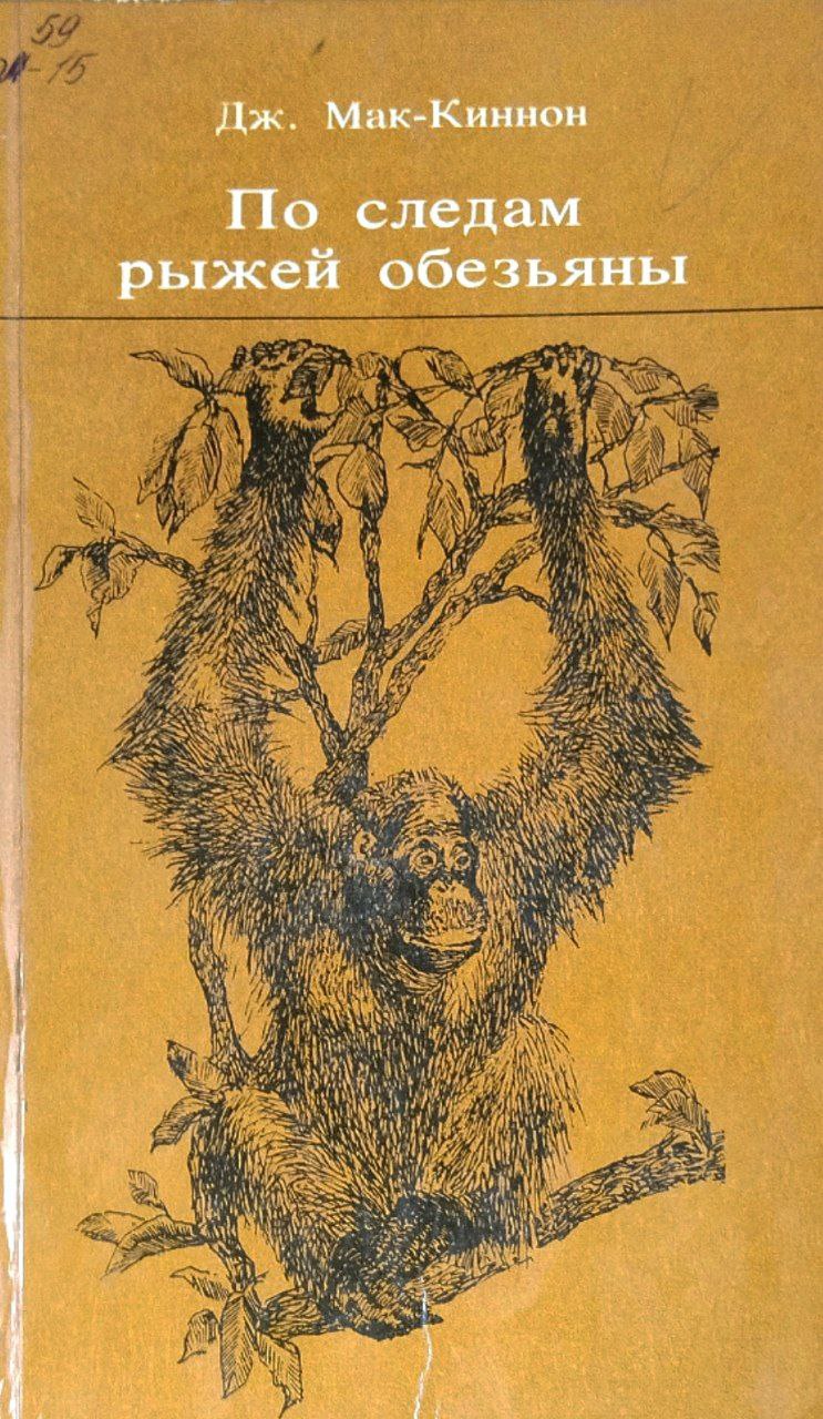 По следам  рыжей обезьяны