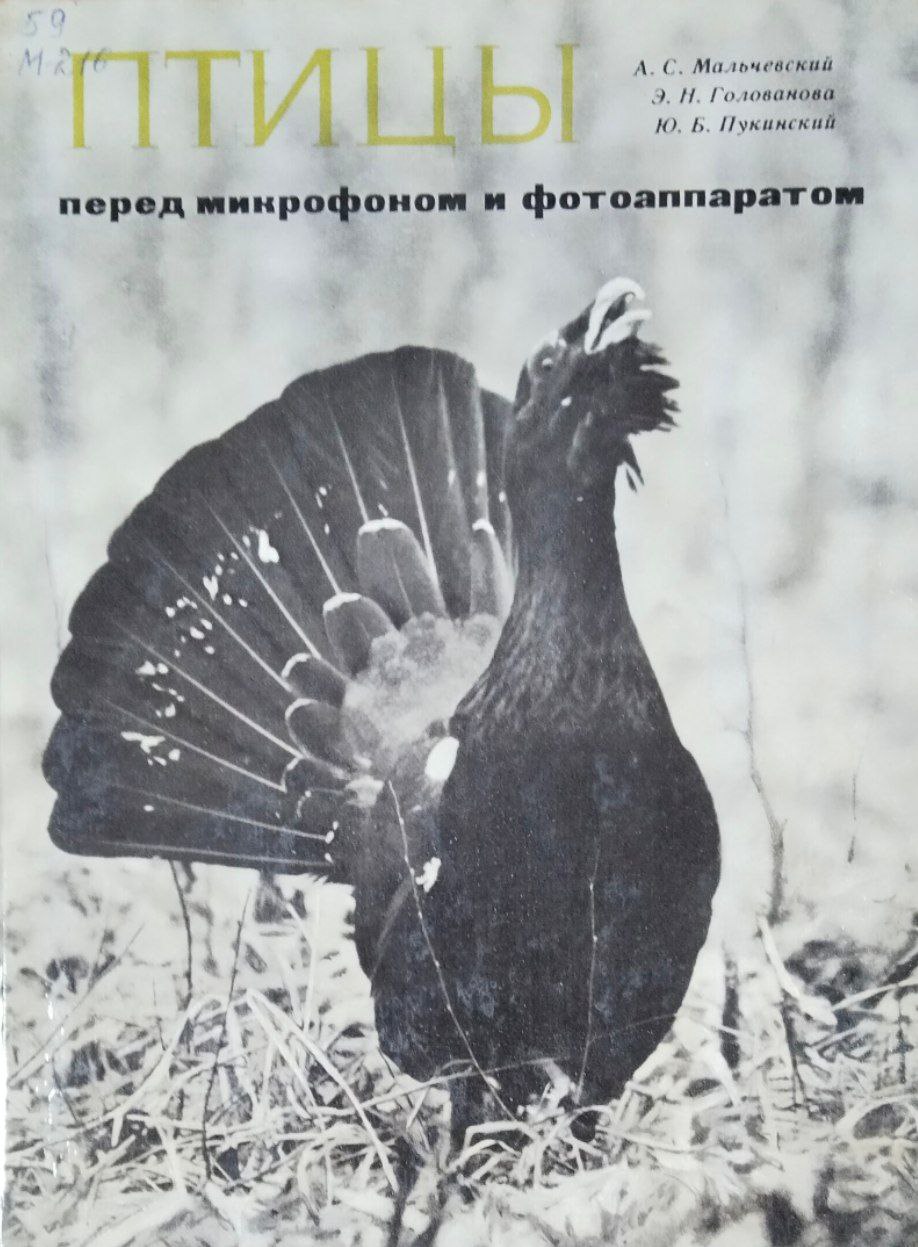 Птицы перед микрофоном и фотоаппаратом. 2-е изд.