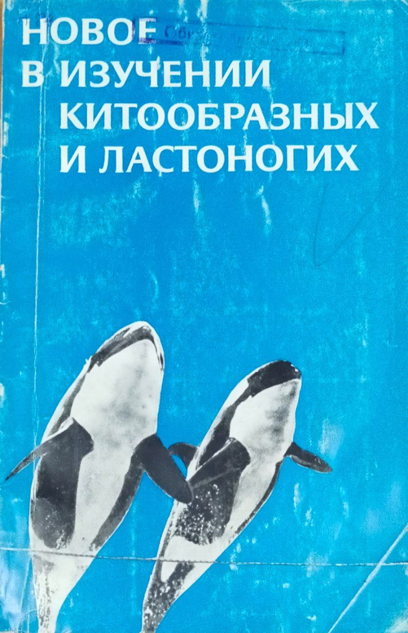 Новое в изучении китообразных и ластоногих