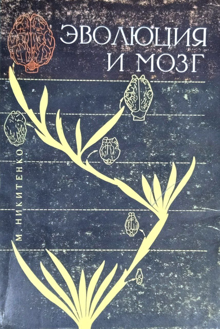 Эволюция и мозг