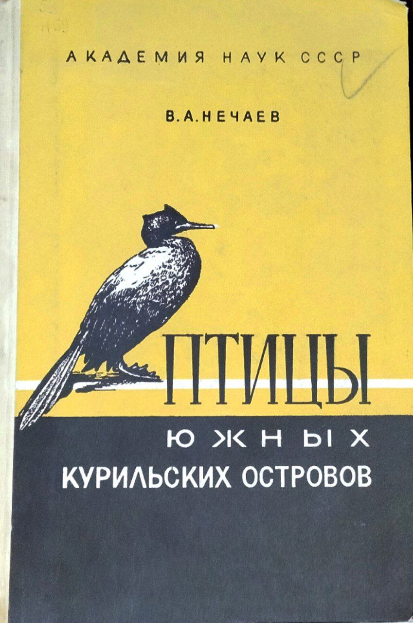 Птицы южных Курильских островов