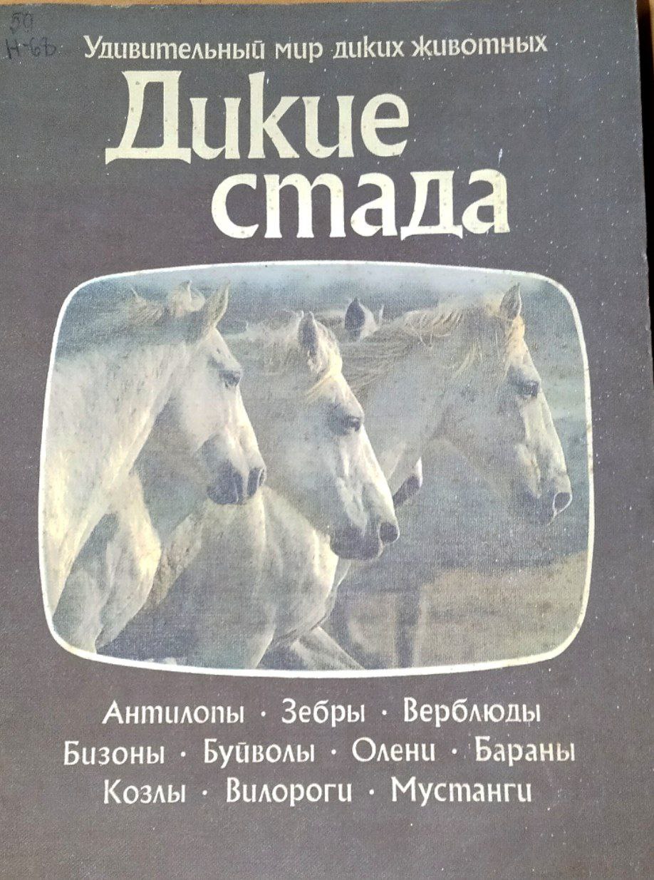 Дикие стада