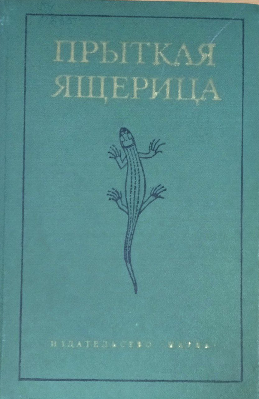 Прыткая ящерица