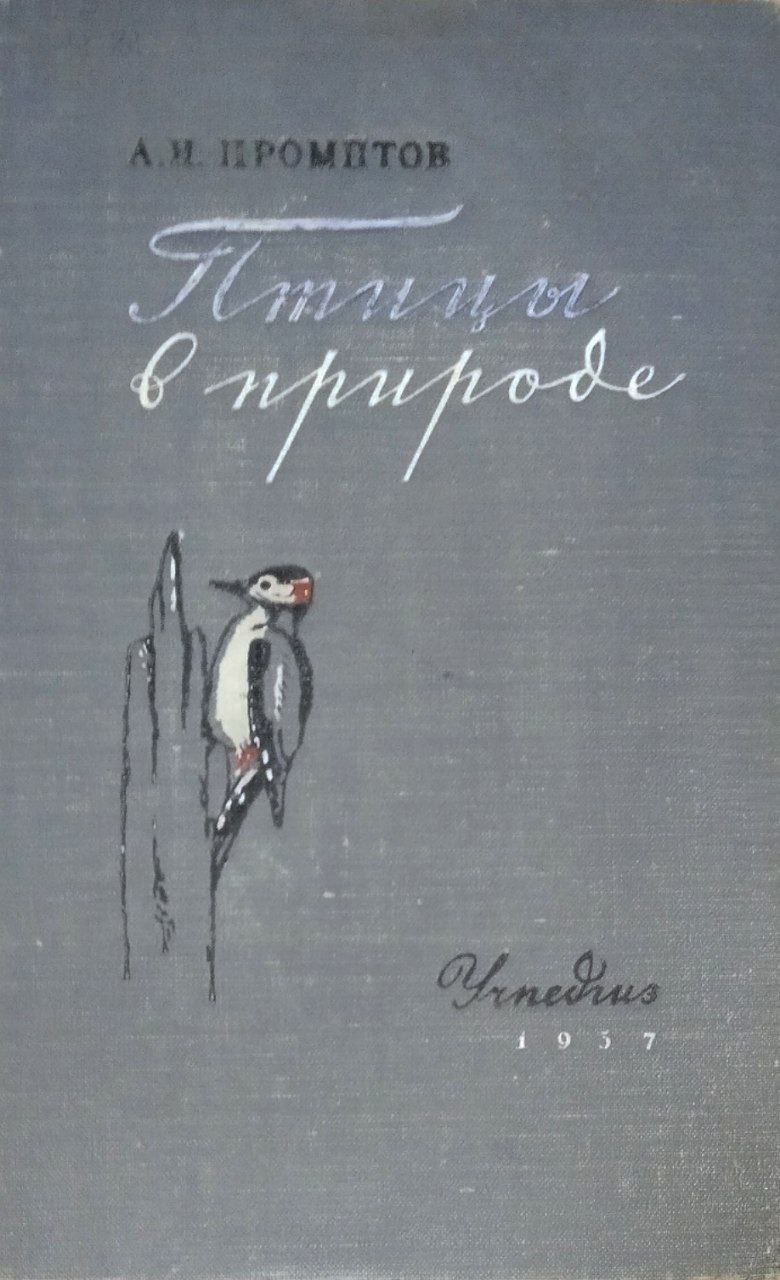 Птицы в природе