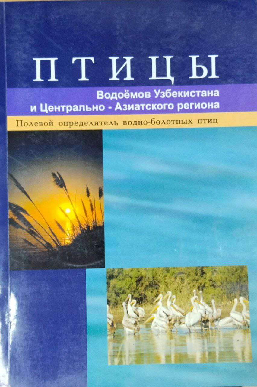 Птицы водоёмов Узбекистана и Центрально-Азиатского региона