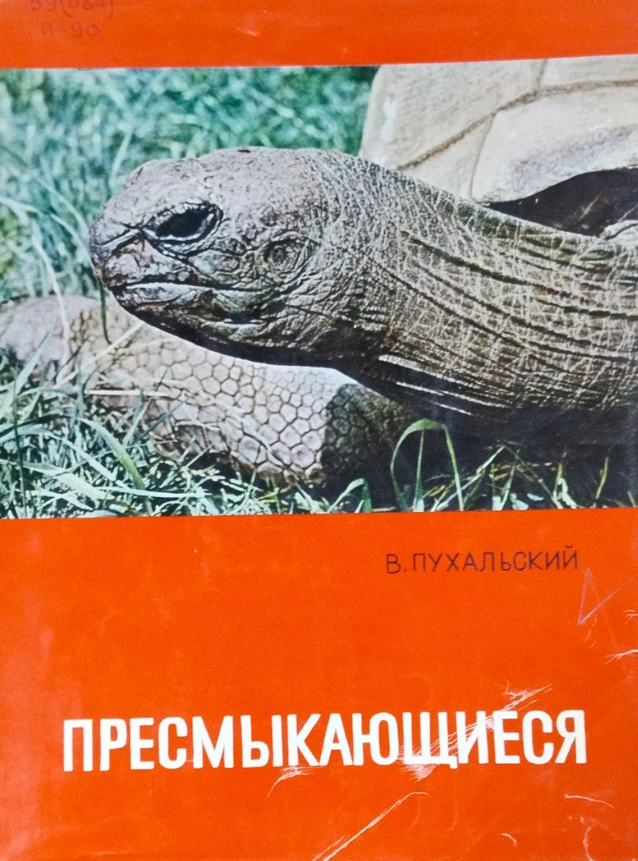 Пресмыкающиеся