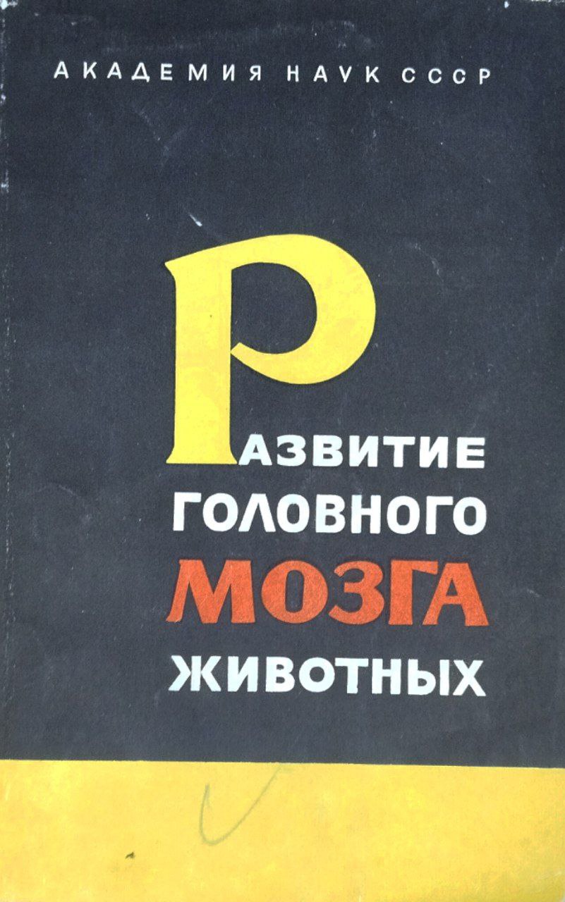 Развитие головного мозга животных