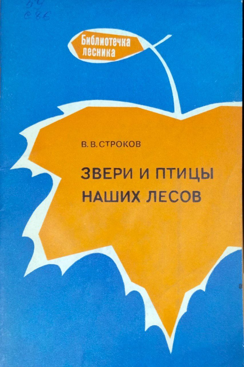Звери и птицы наших лесов. 4-е изд., перераб. и доп.