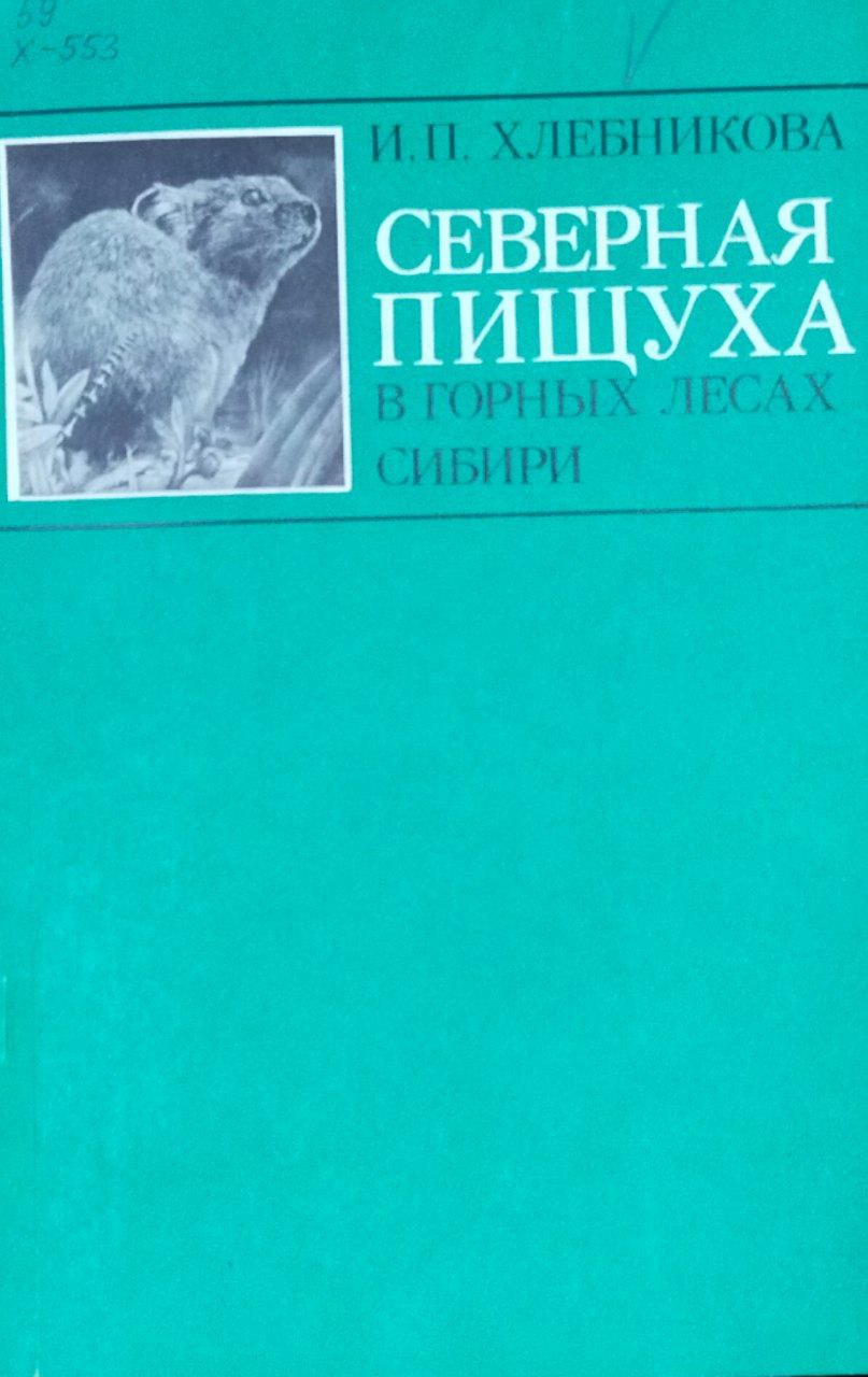 Северная пищуха в горных лесах Сибири