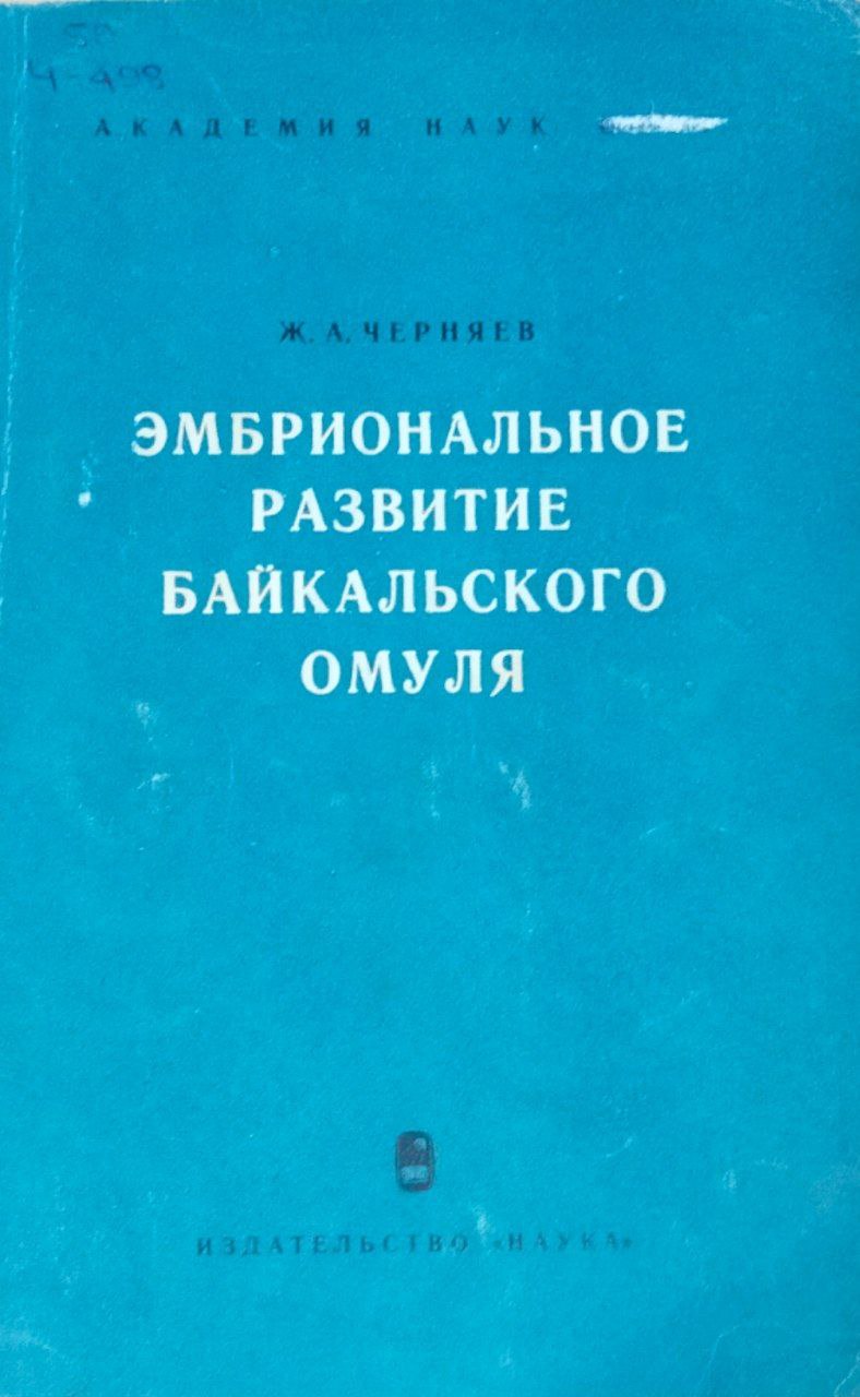 Эмбриональное развитие байкальского омуля